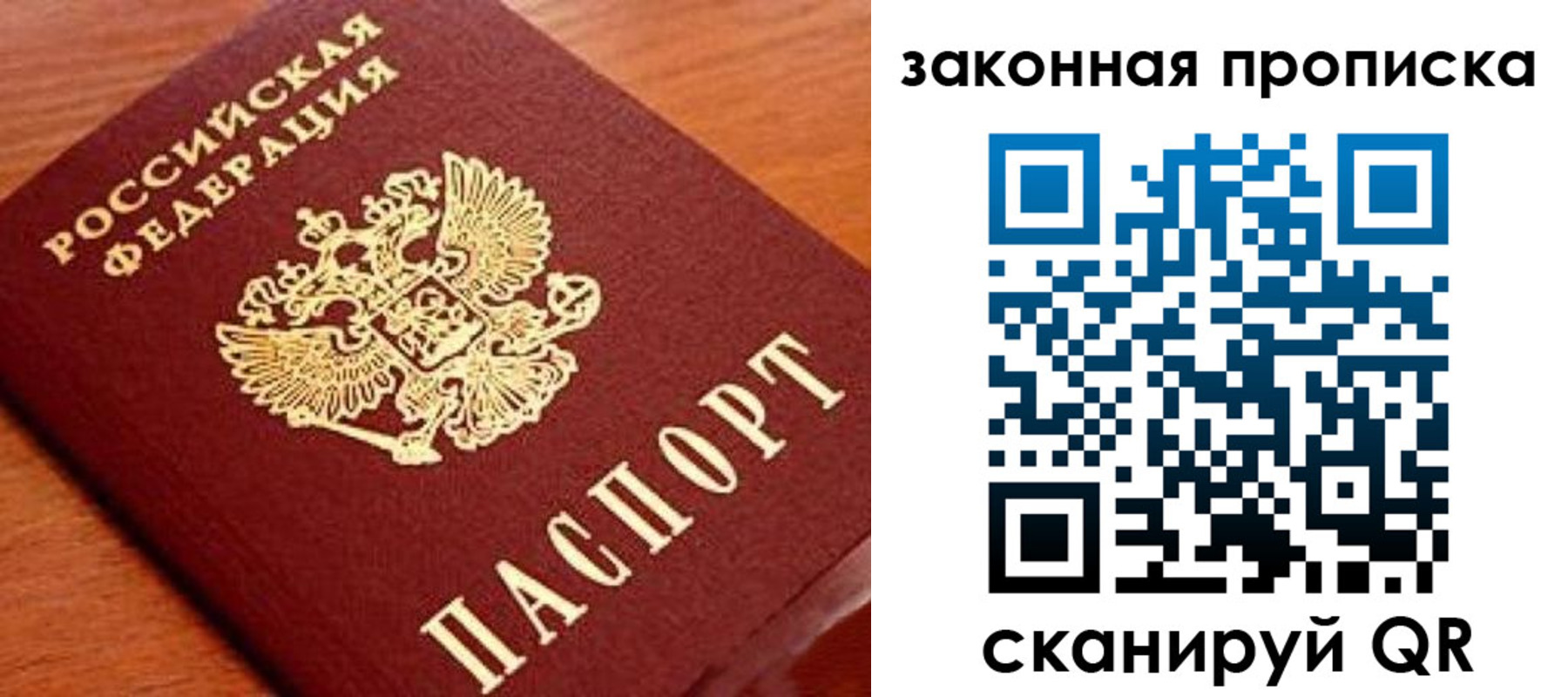 прописка в Волосово